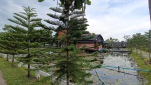 Read more about the article เปลี่ยนบรรยากาศวันหยุด : เดินทางไปปาป๊าฟาร์ม นครนายก